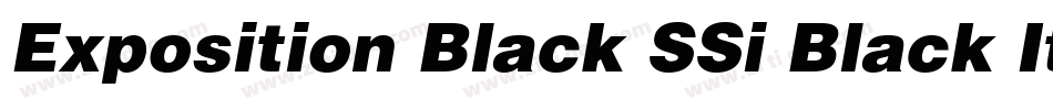 Exposition Black SSi Black Italic字体转换